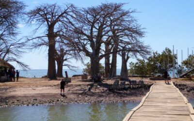 Kunta Kinteh Island