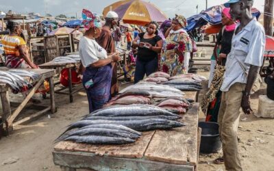 Tanji Fishing Market